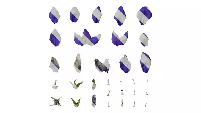 Anydrafts Platycodon grandiflorus Flower 03