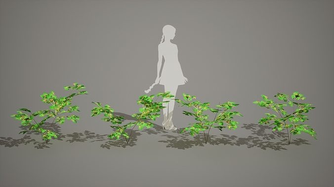 Korean Endemic Species Plant - 4 Ulleung raspberry Tree Low-poly 3D model 7