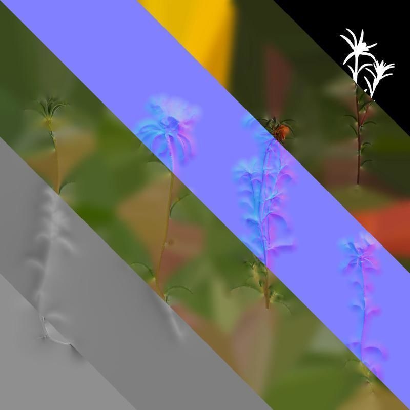 Anydrafts Portulaca grandiflora Atlas 13 Texture_8