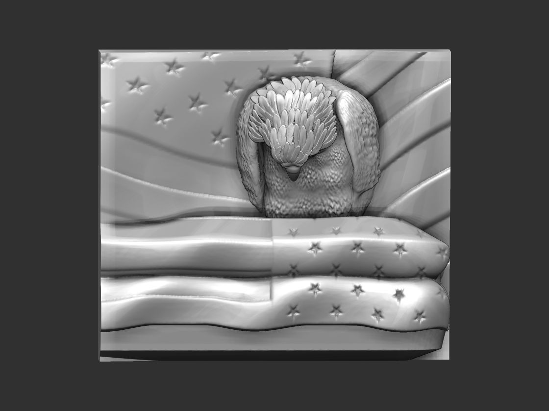 eagle mourns american flag 3D print model_9