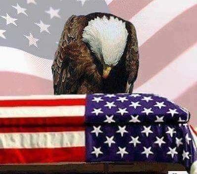 eagle mourns american flag 3D print model_19
