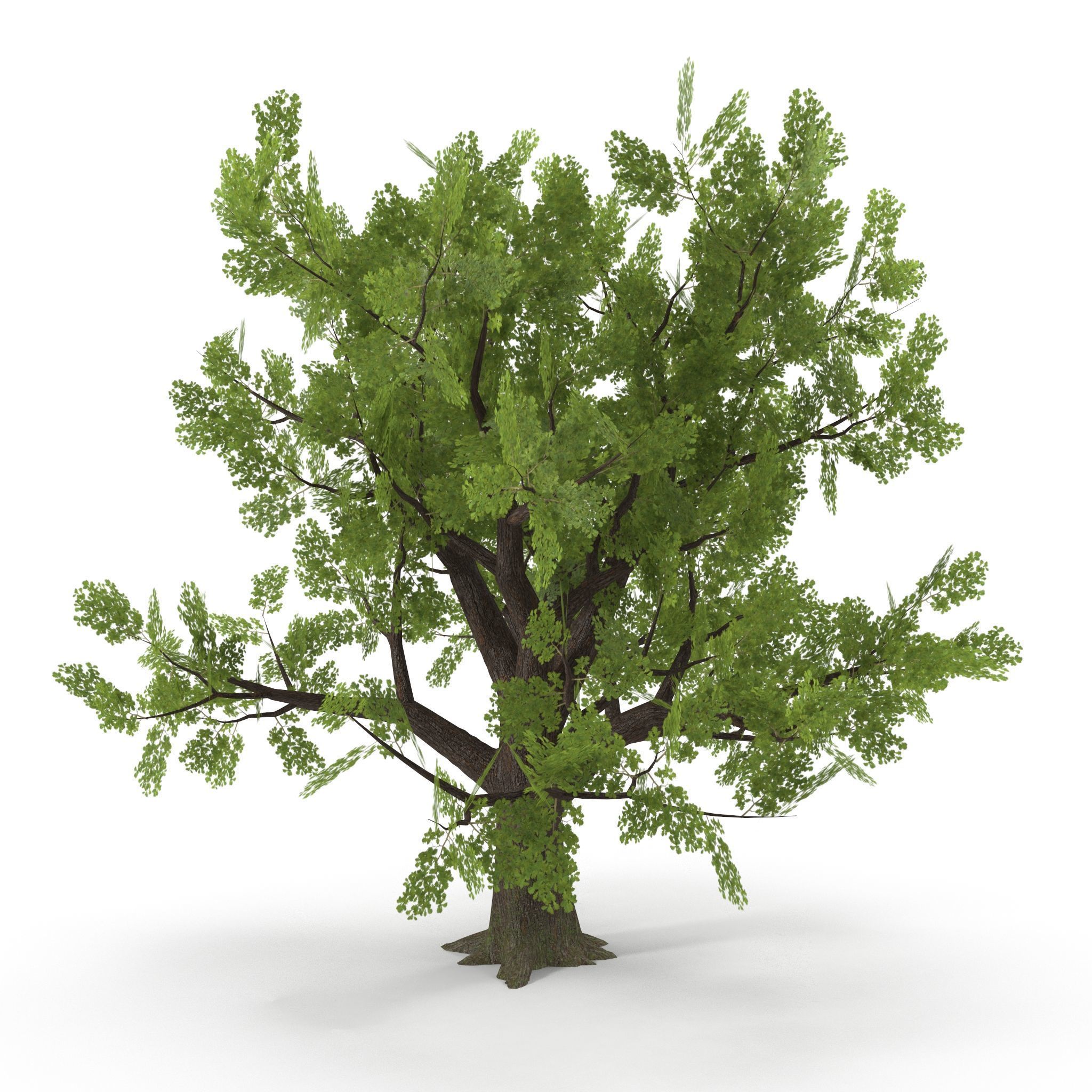 Old Oak Low Poly Low-poly 3D model_3