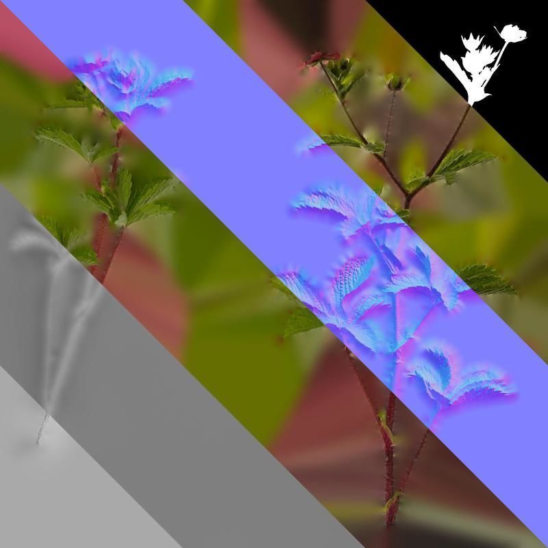 Anydrafts Potentilla nepalensis Atlas 01 Texture_8