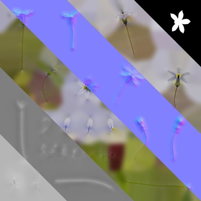 Anydrafts Pratia pedunculata Flower 01 Texture_8