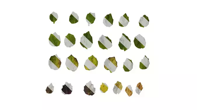 Anydrafts Pratia pedunculata Leaf 01