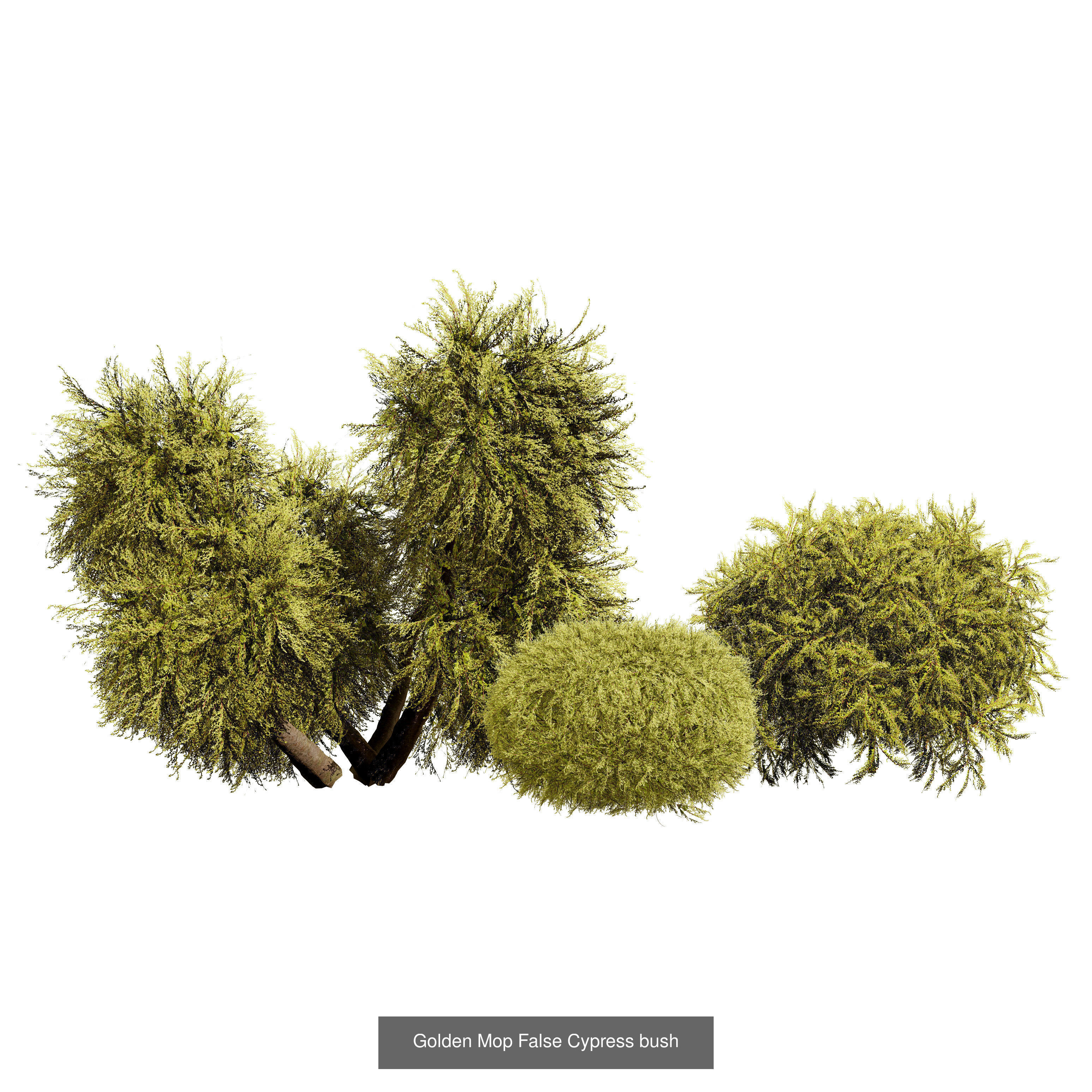 Garden Topiary Bush Collection 3D Pack 01 _26