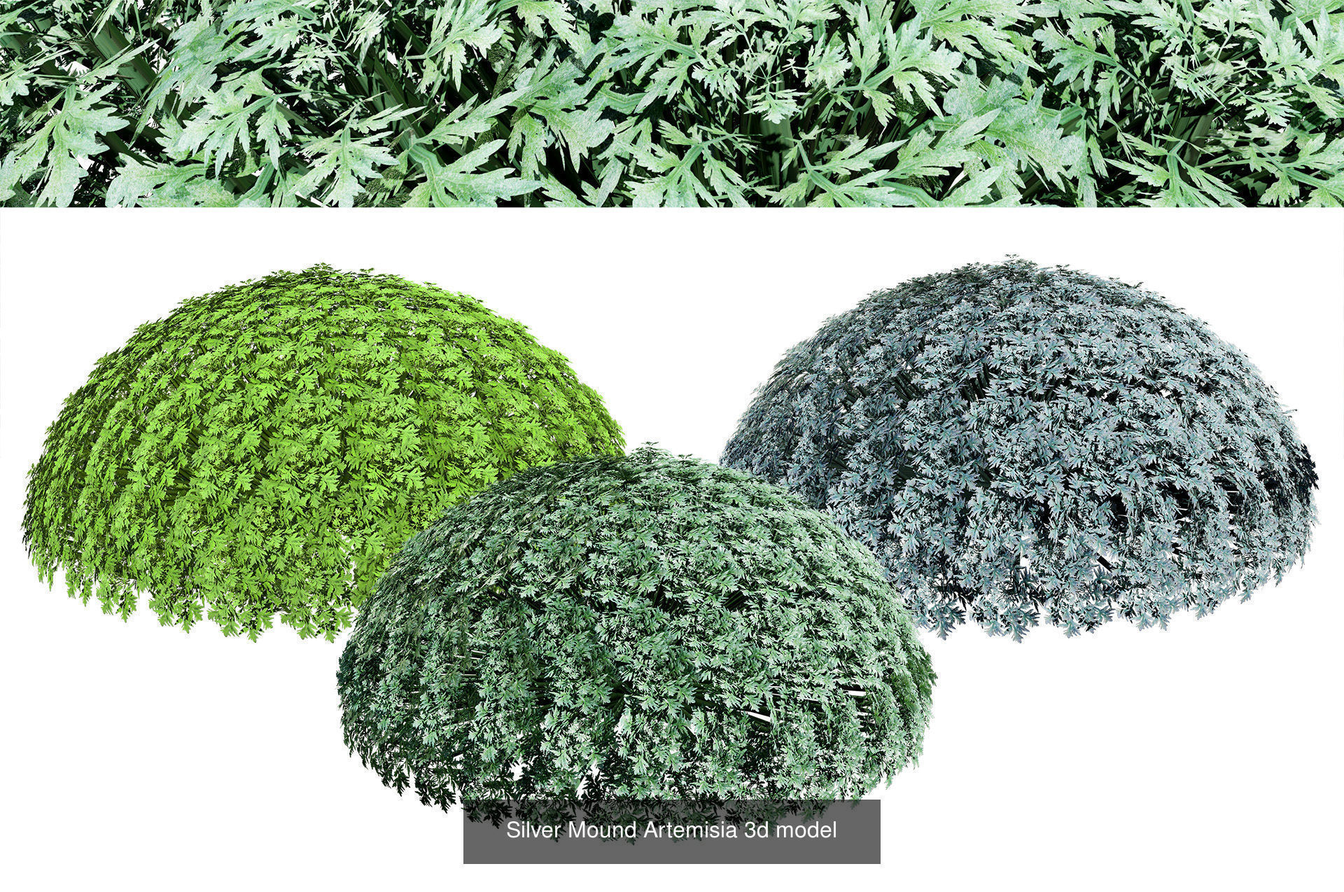 Garden Topiary Bush Collection 3D Pack 01 _24