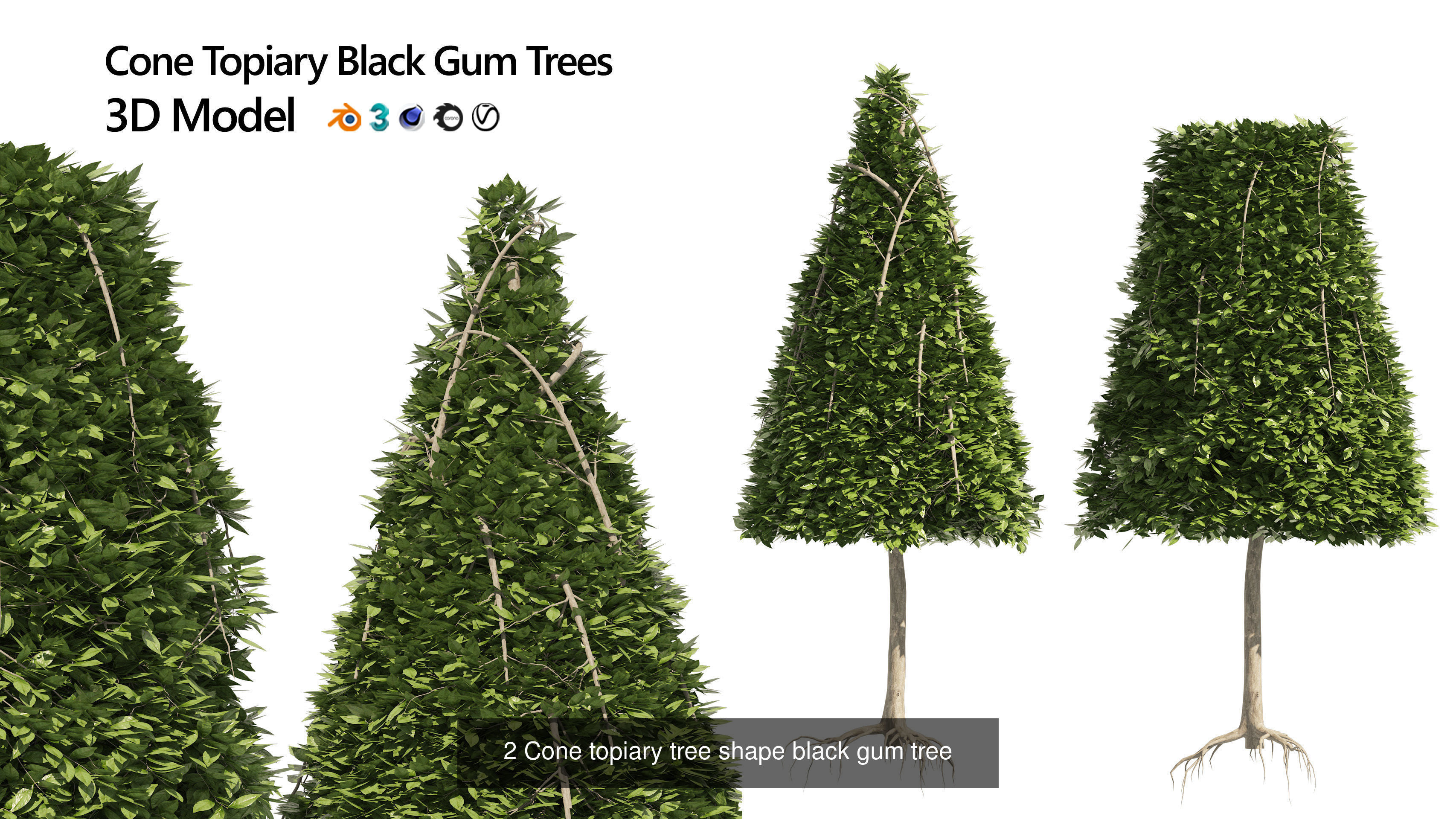 Garden Topiary Bush Collection 3D Pack 01 _19