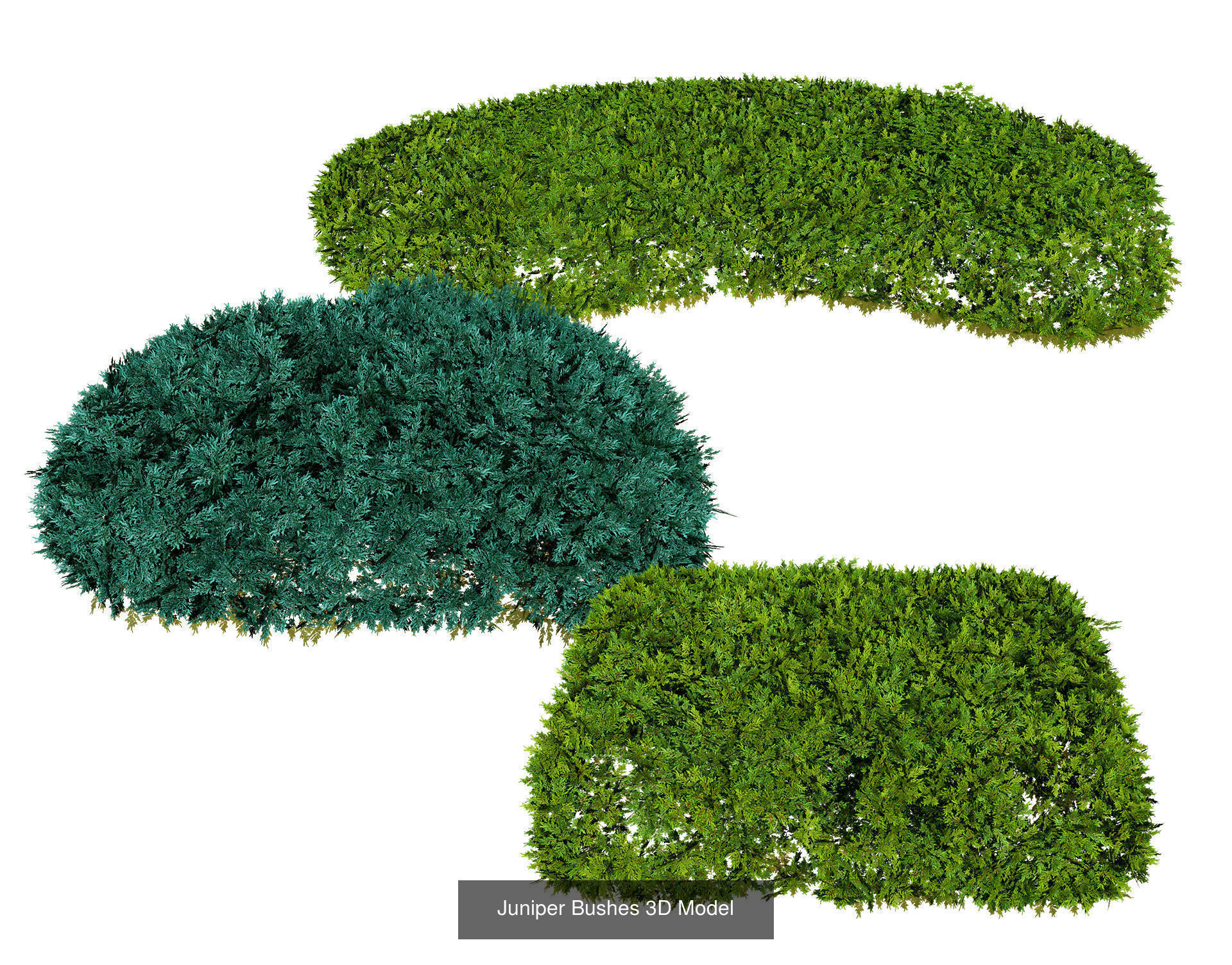 Garden Topiary Bush Collection 3D Pack 01 _32