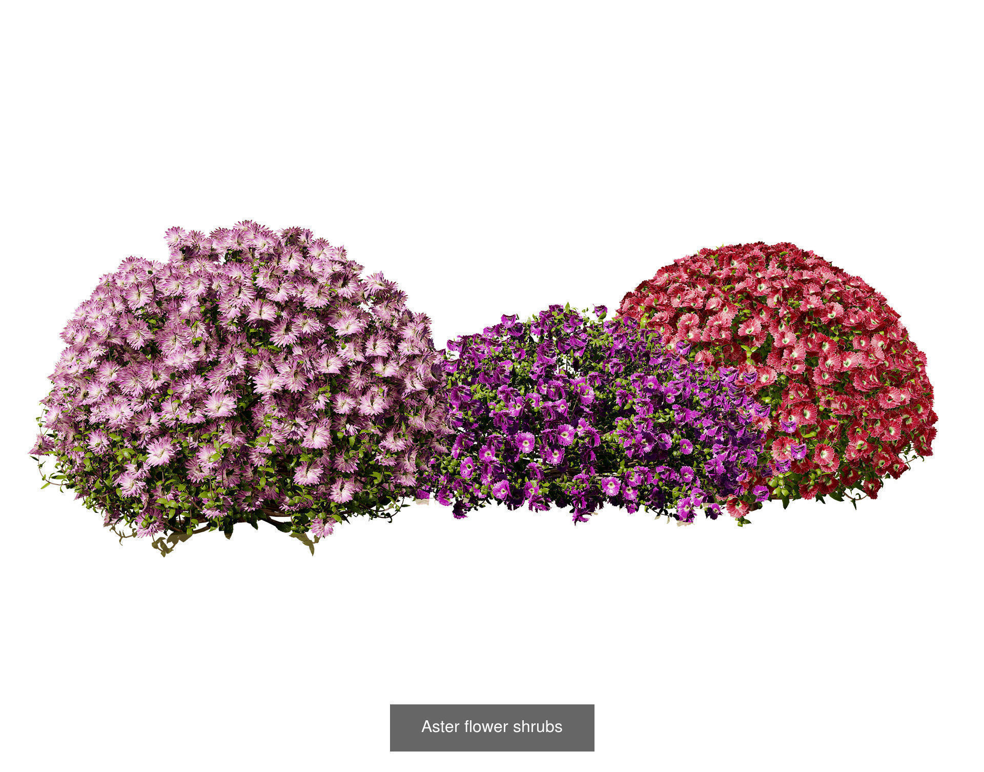 Garden Topiary Bush Collection 3D Pack 01 _29