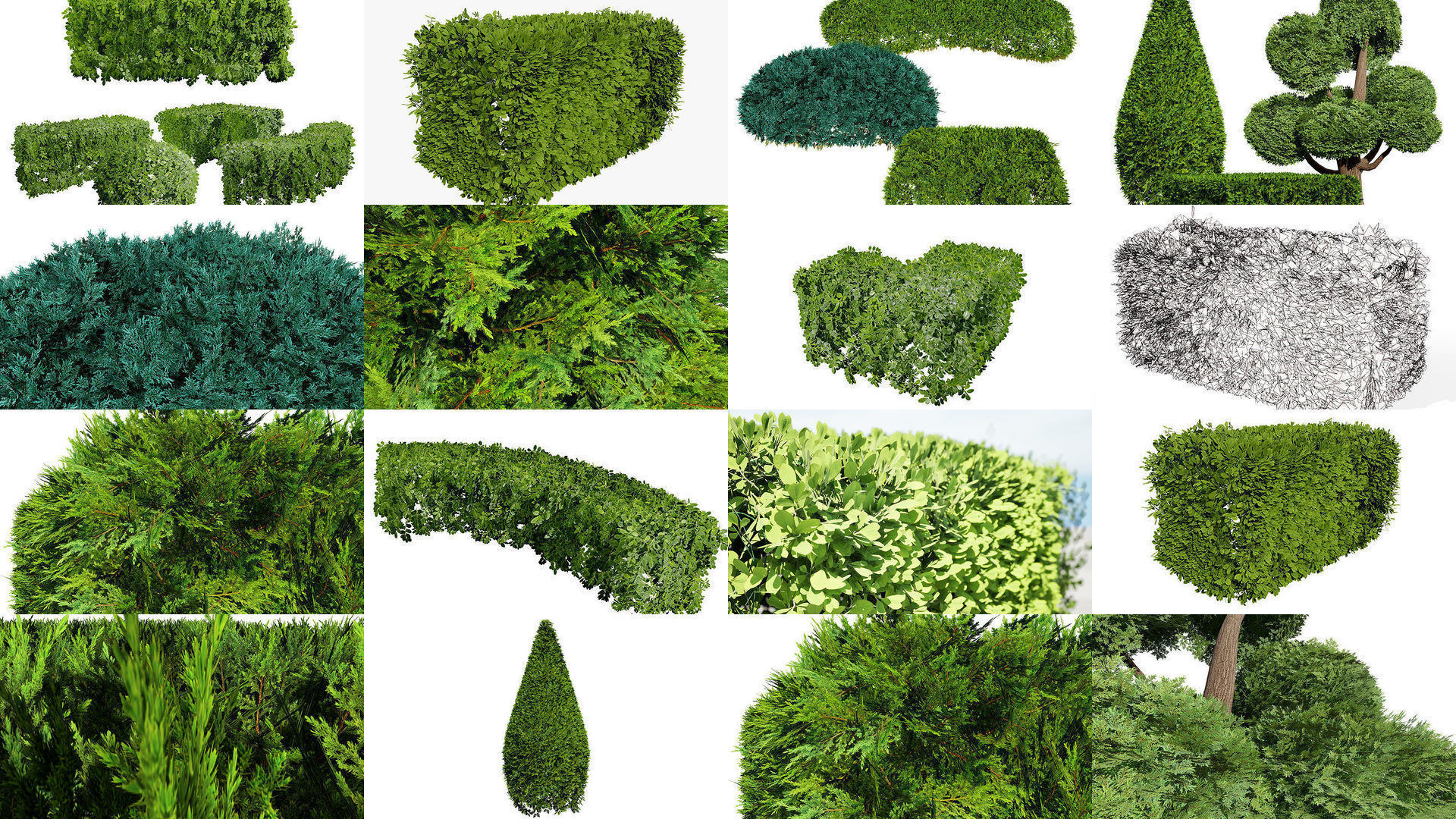 Garden Topiary Bush Collection 3D Pack 01 _12