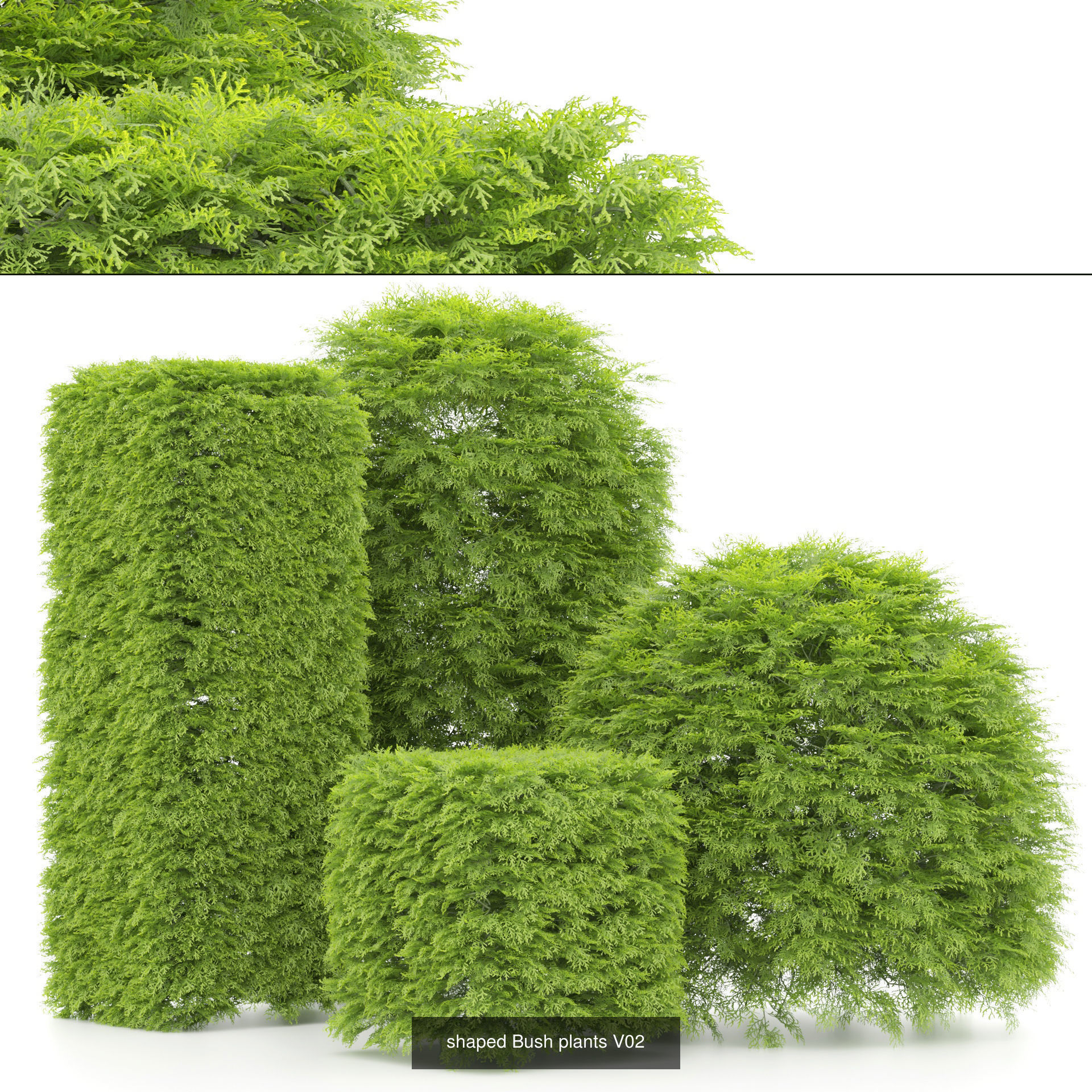 Garden Topiary Bush Collection 3D Pack 01 _14