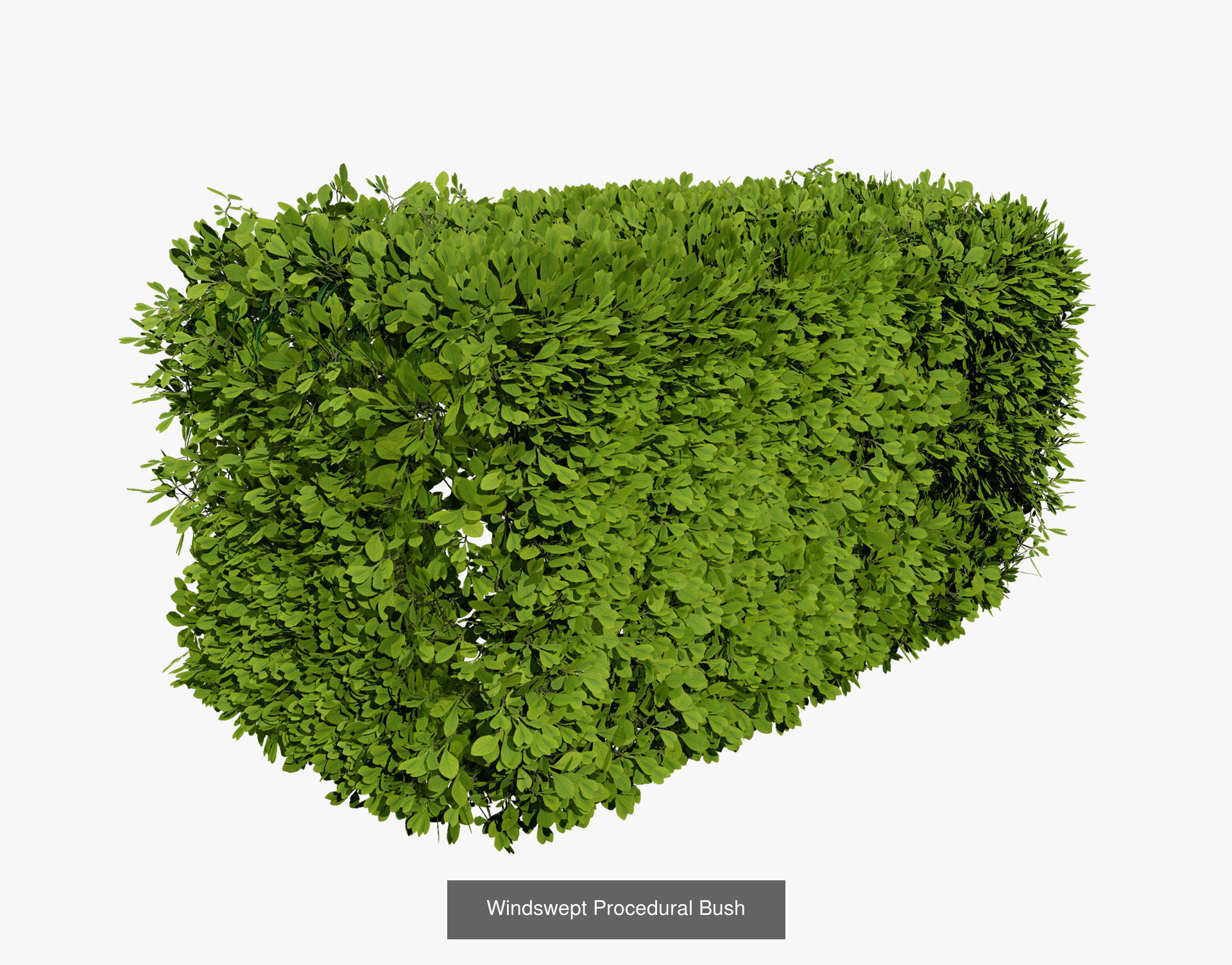 Garden Topiary Bush Collection 3D Pack 01 _31