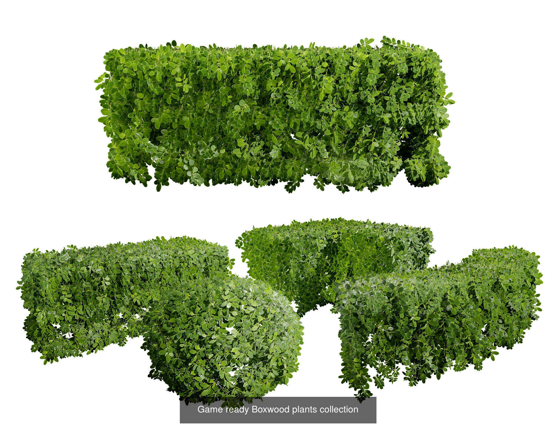 Garden Topiary Bush Collection 3D Pack 01 _30