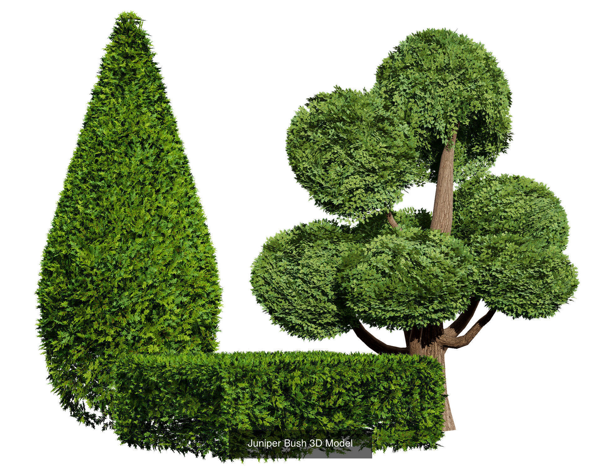 Garden Topiary Bush Collection 3D Pack 01 _33