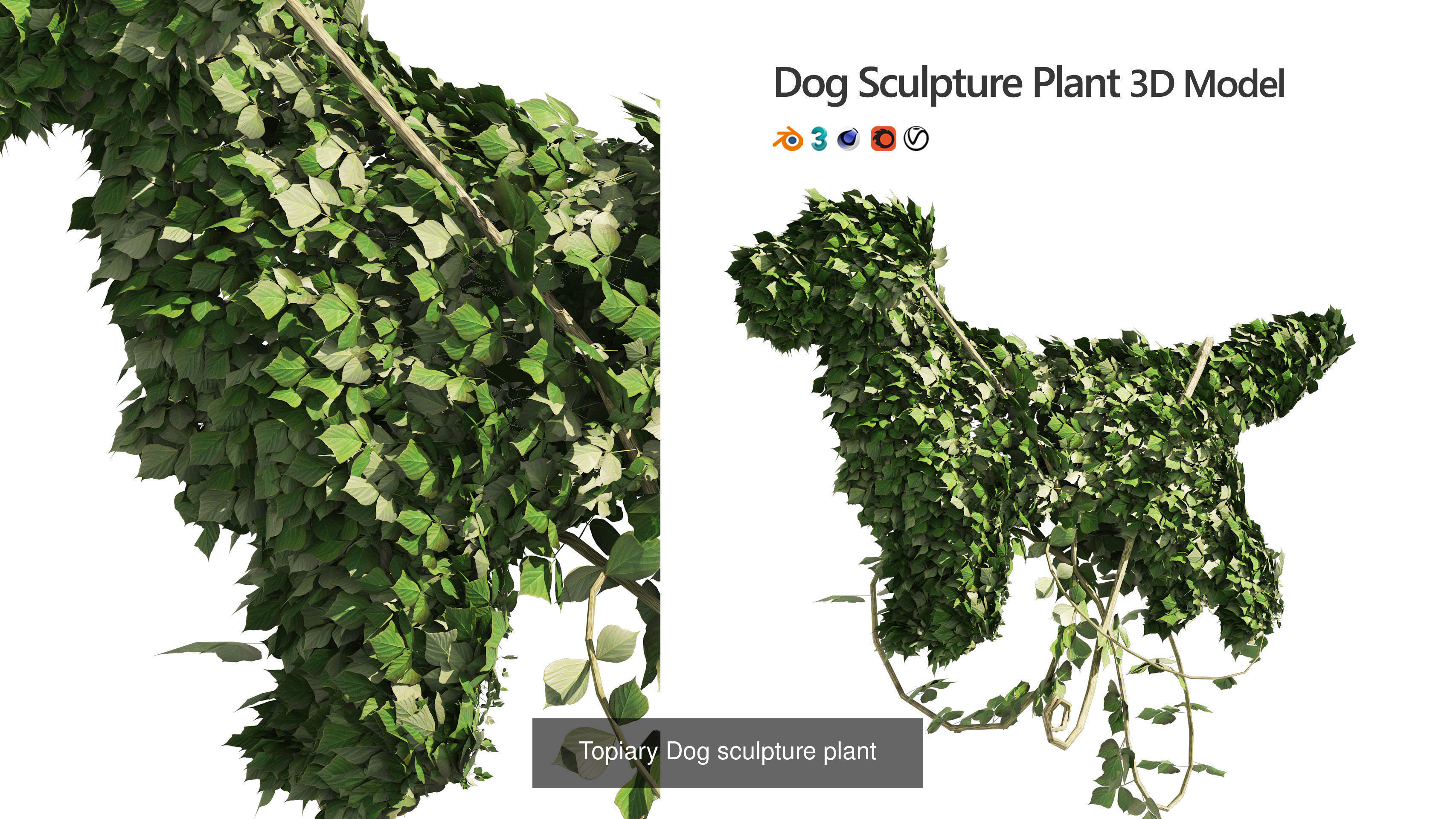 Garden Topiary Bush Collection 3D Pack 01 _18