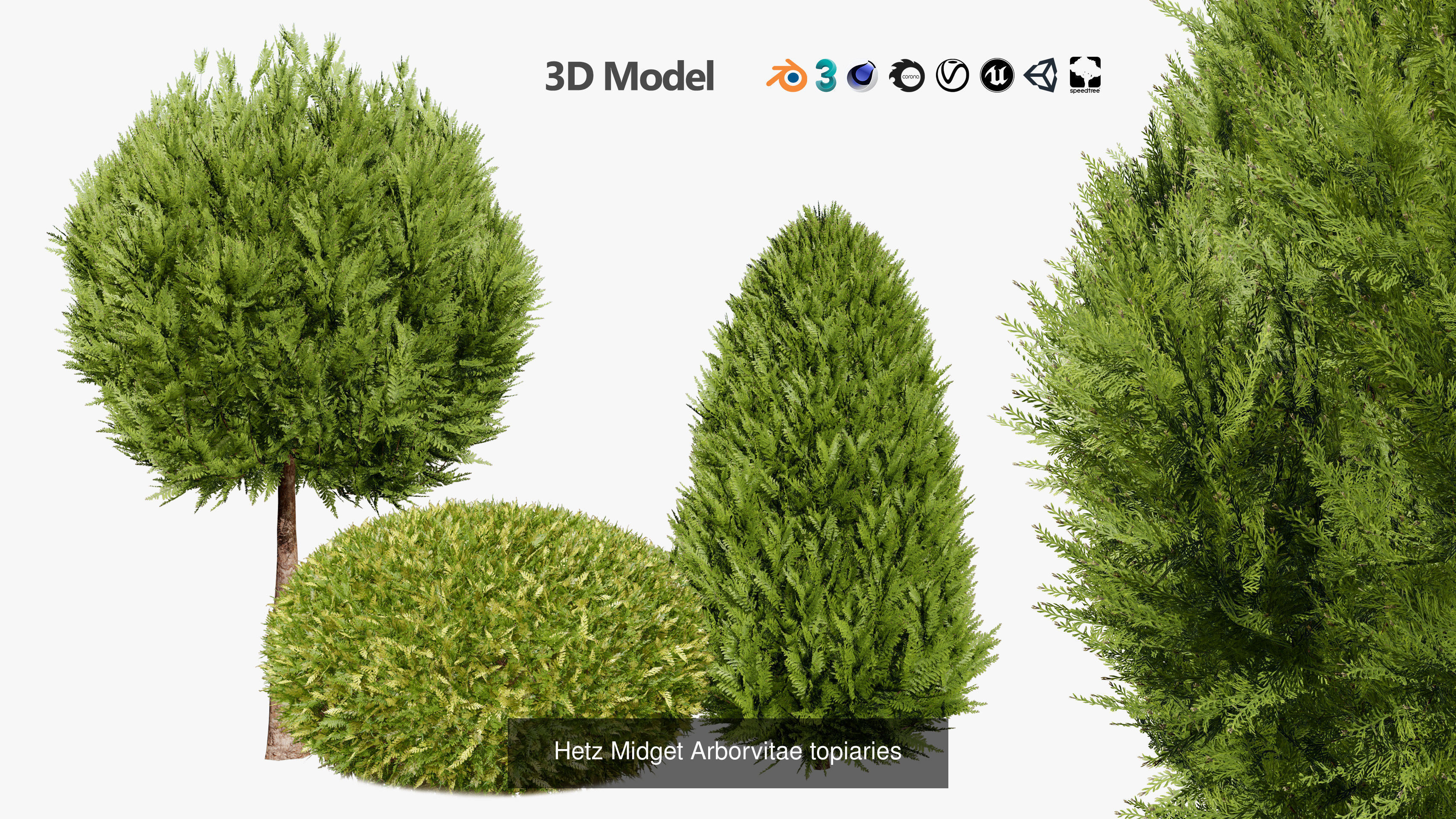 Garden Topiary Bush Collection 3D Pack 01 _27