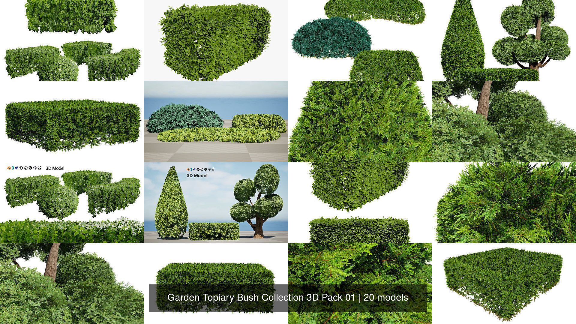 Garden Topiary Bush Collection 3D Pack 01 _13