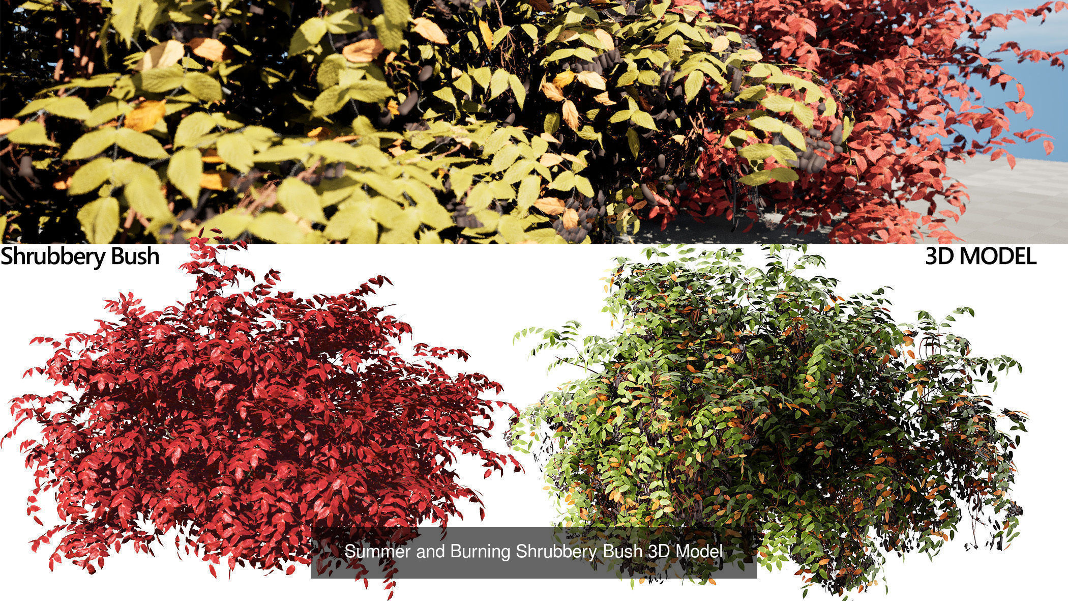 Garden Topiary Bush Collection 3D Pack 01 _23
