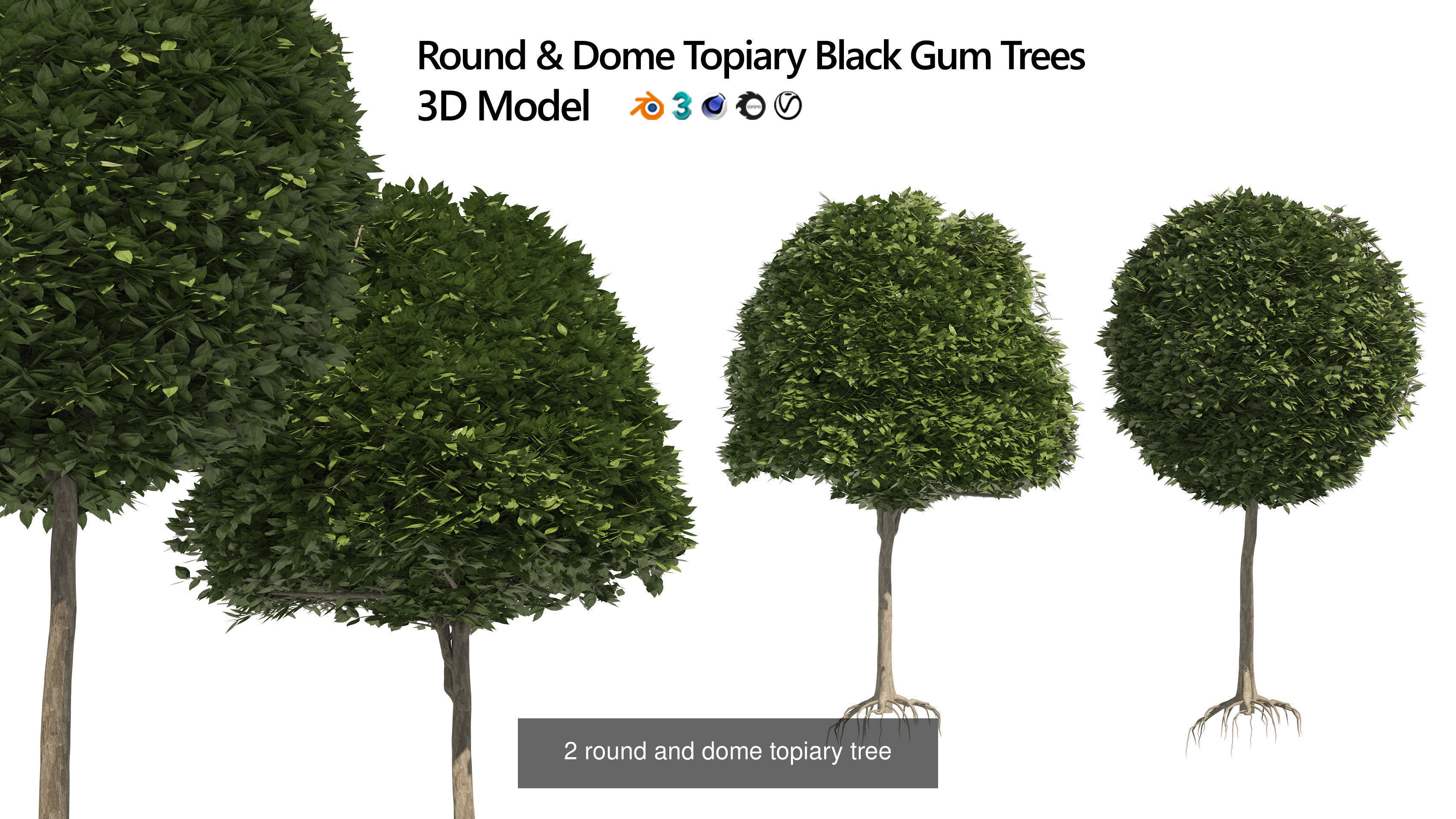 Garden Topiary Bush Collection 3D Pack 01 _21