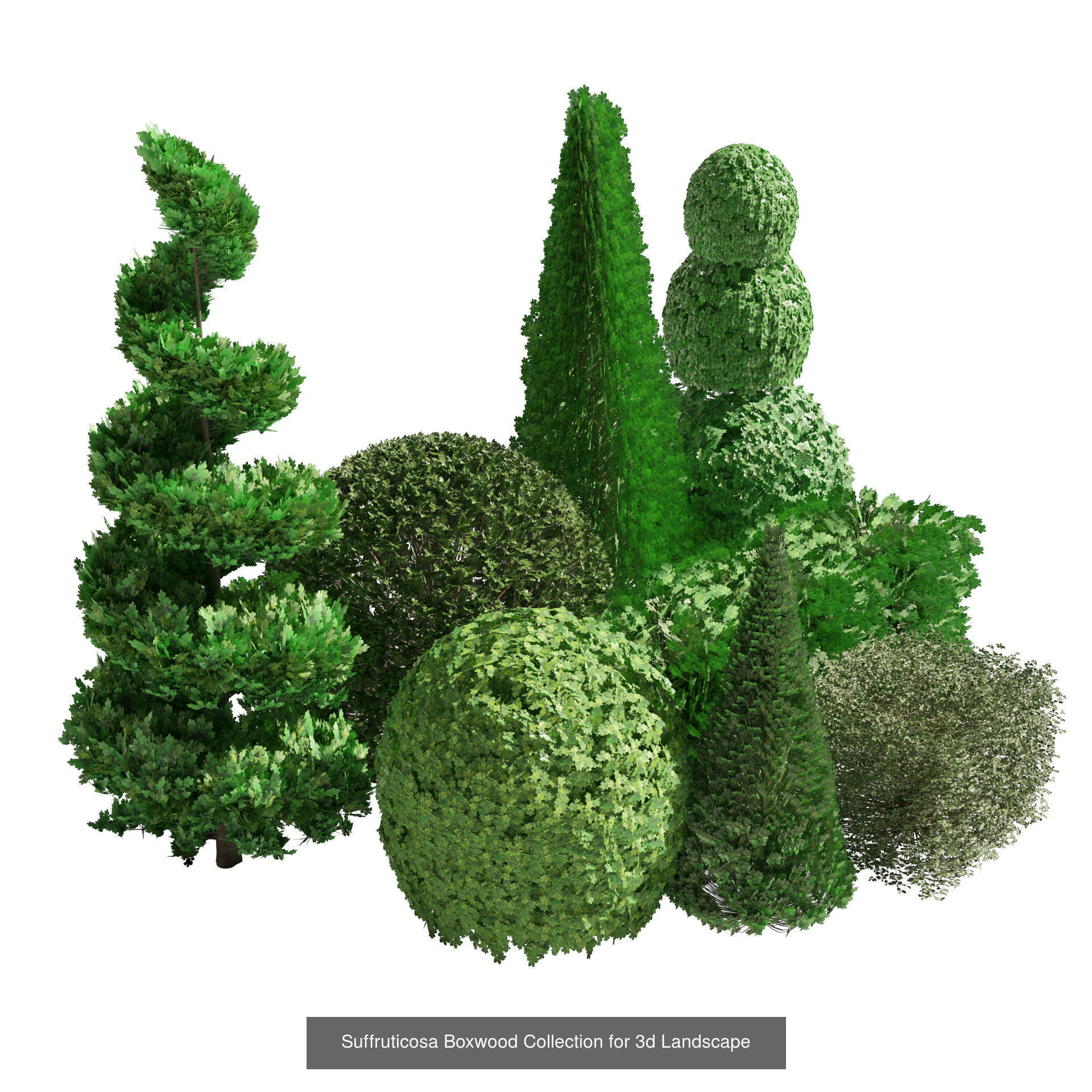Garden Topiary Bush Collection 3D Pack 01 _25
