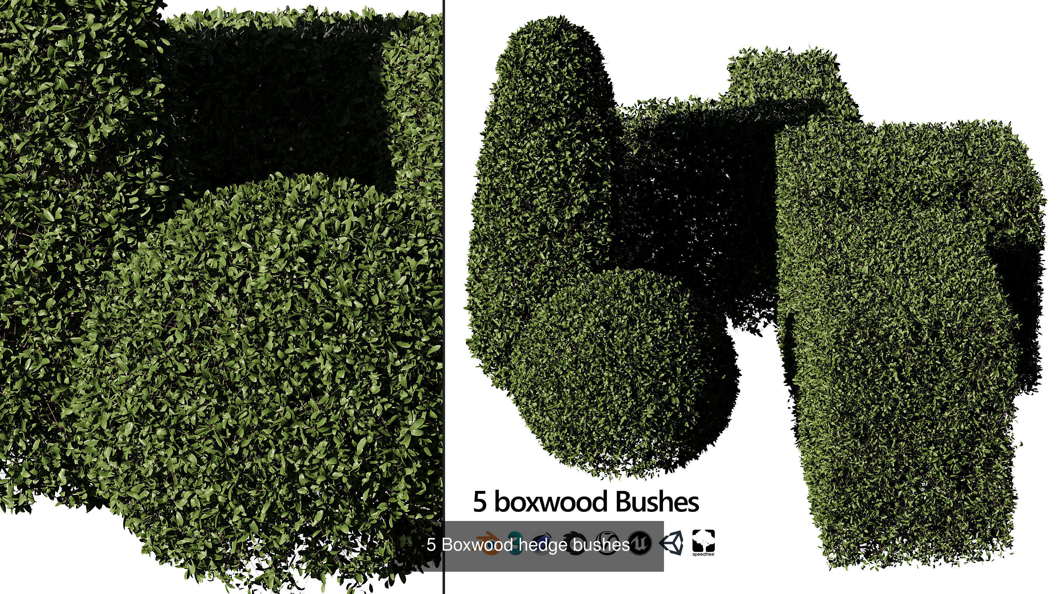 Garden Topiary Bush Collection 3D Pack 01 _22