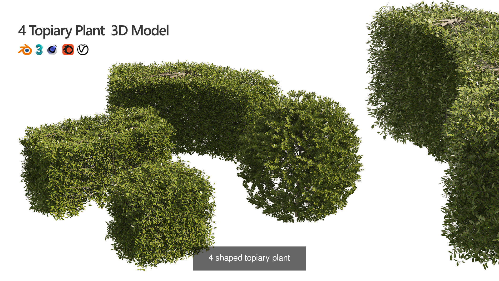 Garden Topiary Bush Collection 3D Pack 01 _16