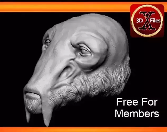 Star wars Head sculpt - Abednedo - Action Figure