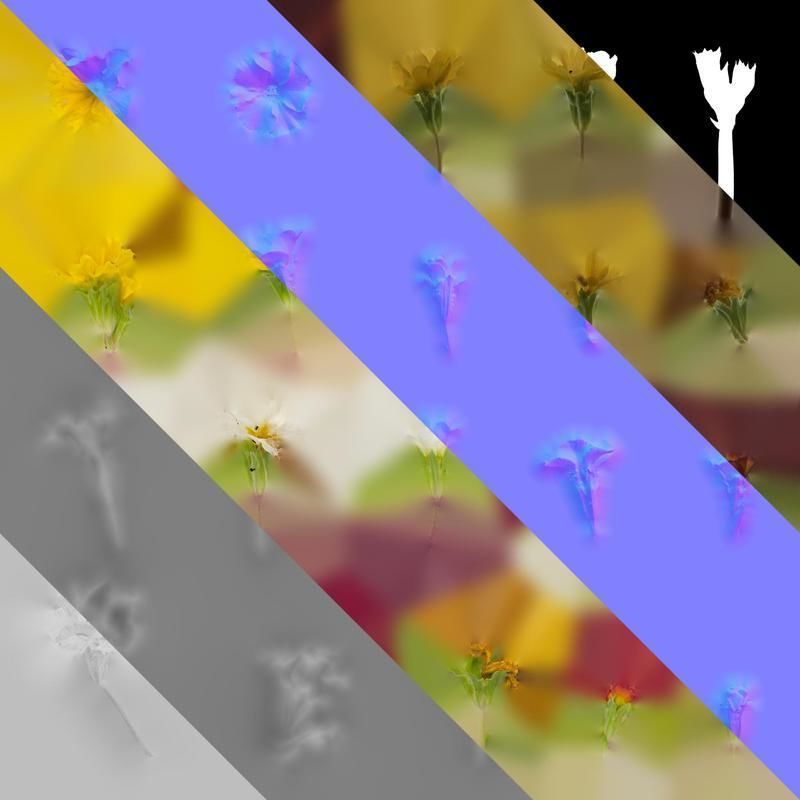 Anydrafts Primula malacoides Flower 06 Texture_8