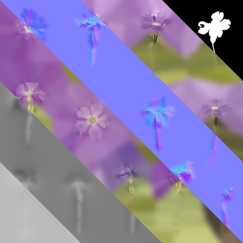 Anydrafts Primula tenella Flower 01 Texture_8