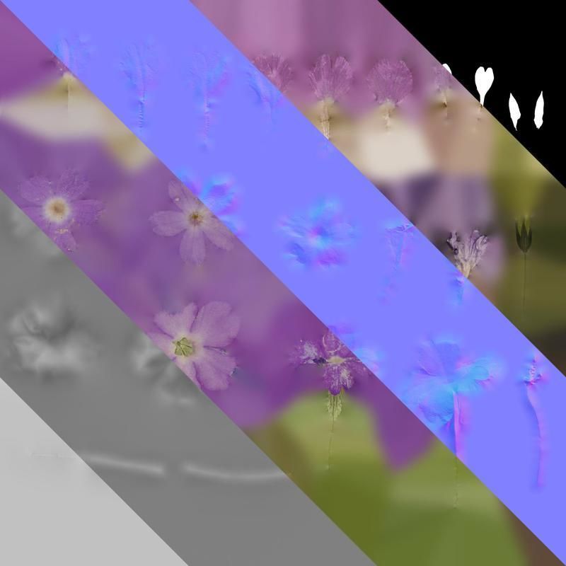 Anydrafts Primula tenella Flower 02 Texture_8