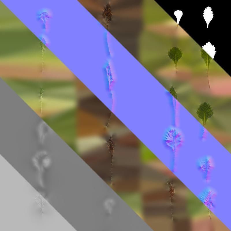 Anydrafts Primula tenella Leaf 01 Texture