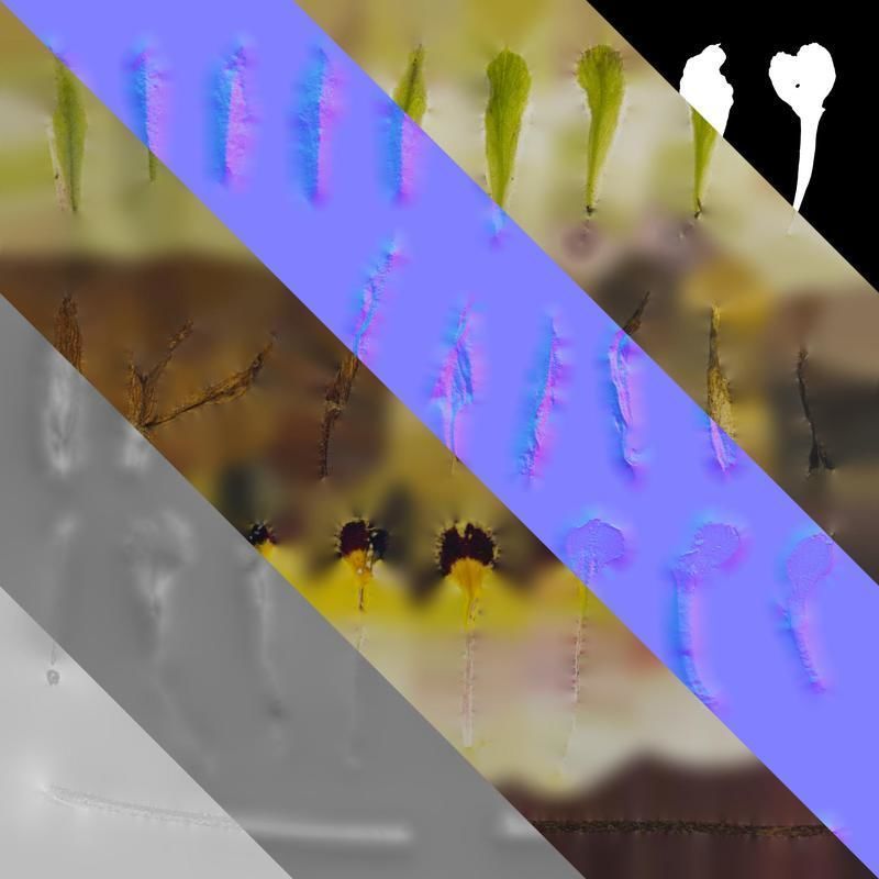 Anydrafts Primula victorian gold lace Flower 02 Texture_8