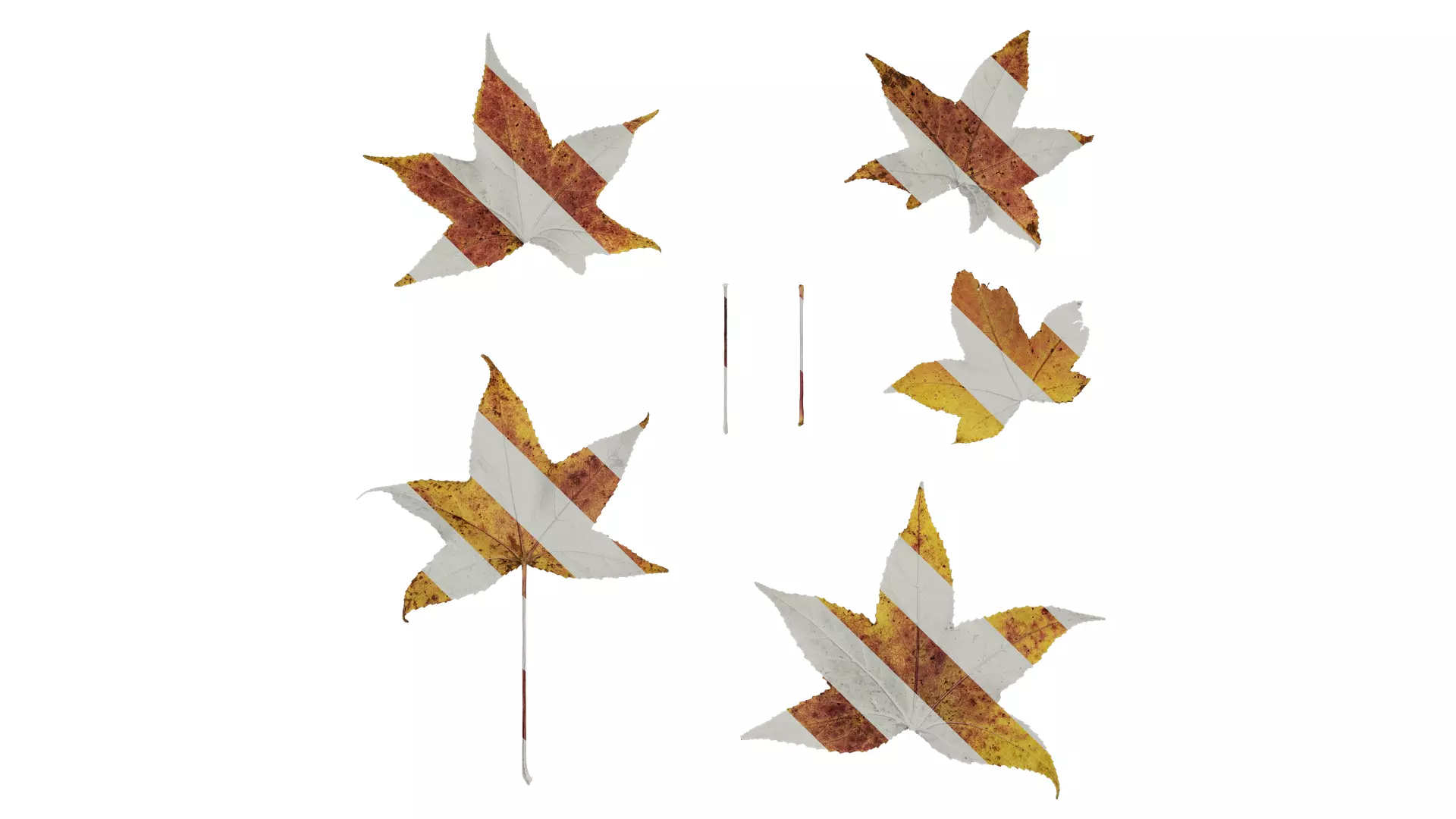 Anydrafts Liquidambar formosana Leaf 02 B Texture_0