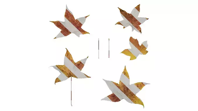 Anydrafts Liquidambar formosana Leaf 02 B Texture