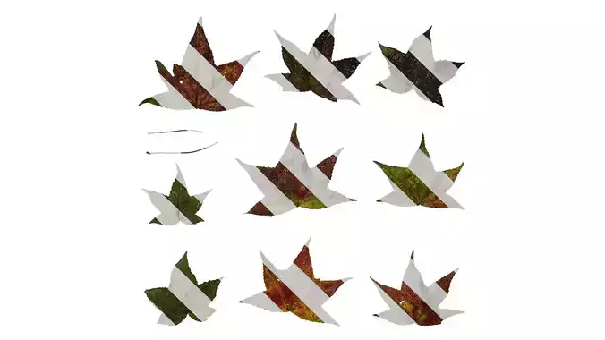 Anydrafts Liquidambar formosana Leaf 06 F Texture