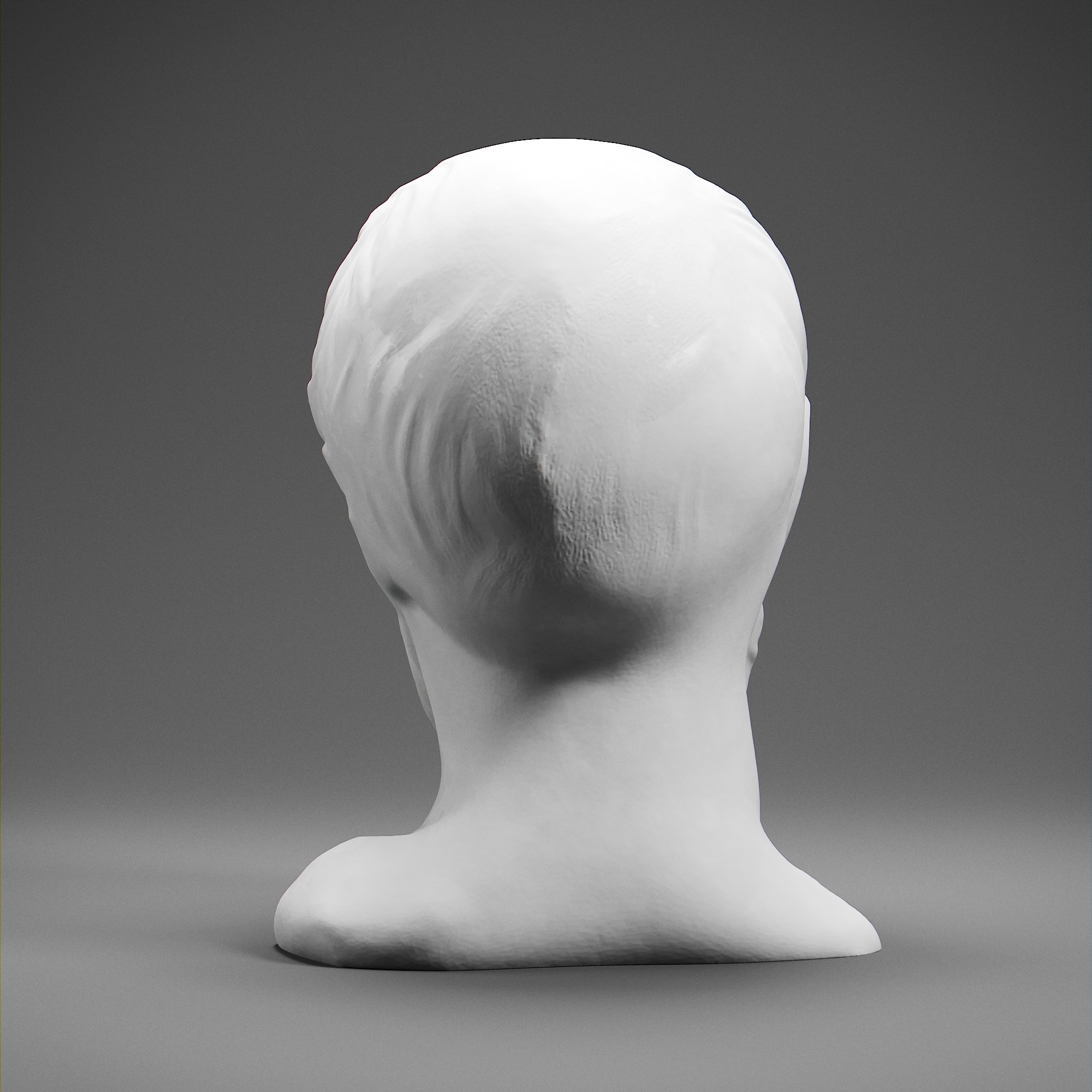 Hippocrates 3D print model_4