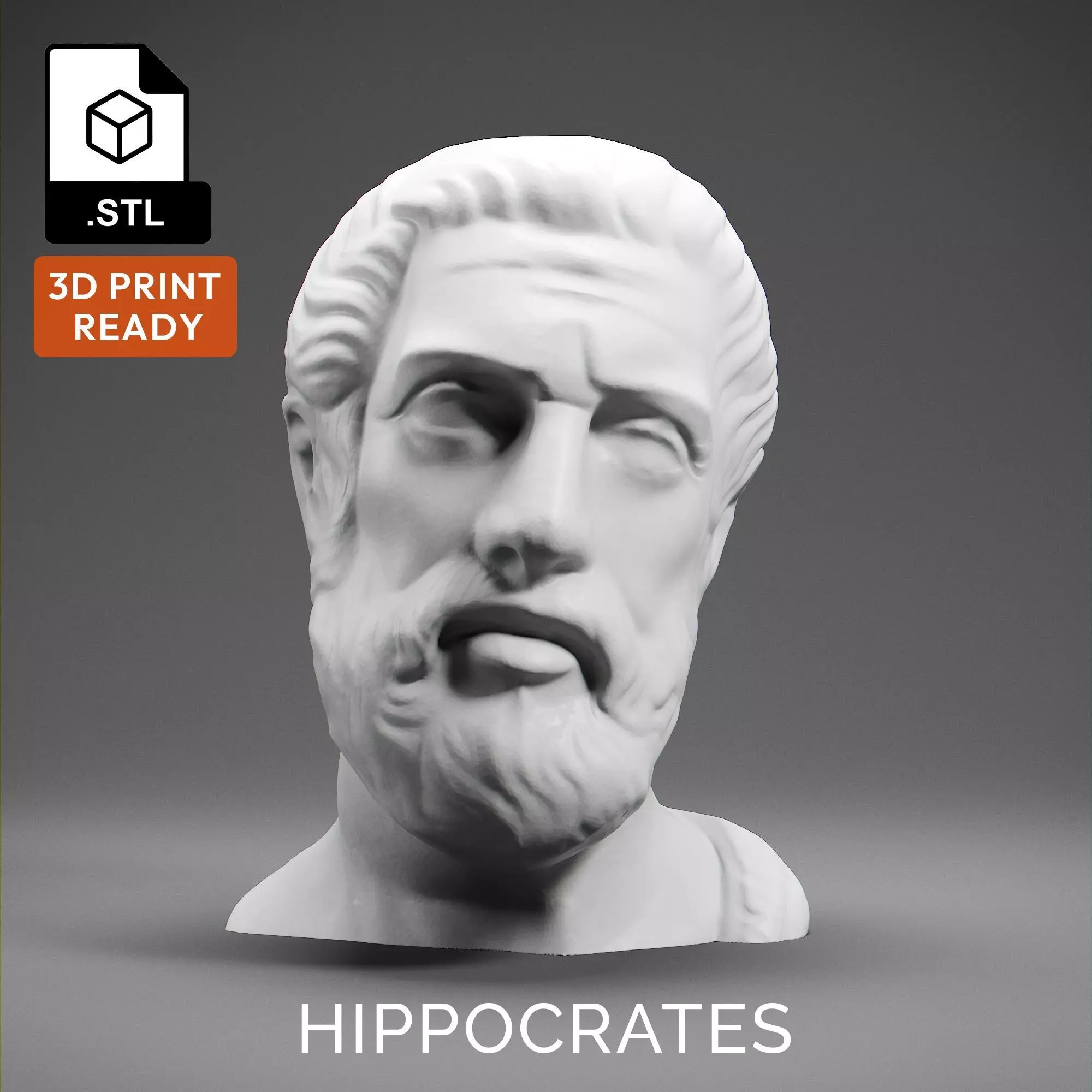 Hippocrates 3D print model_0