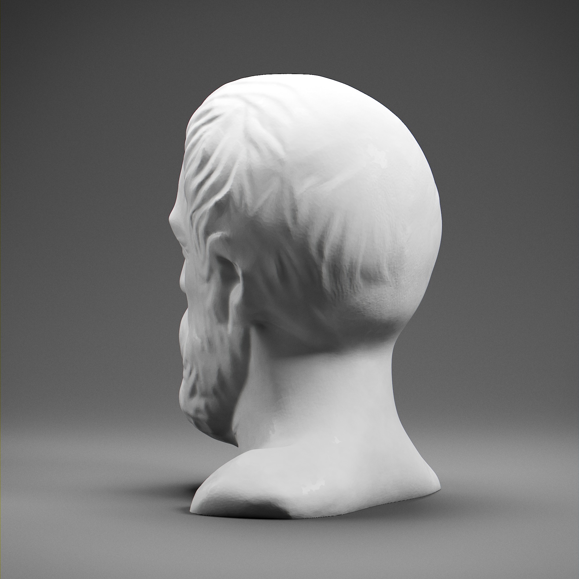 Hippocrates 3D print model_3