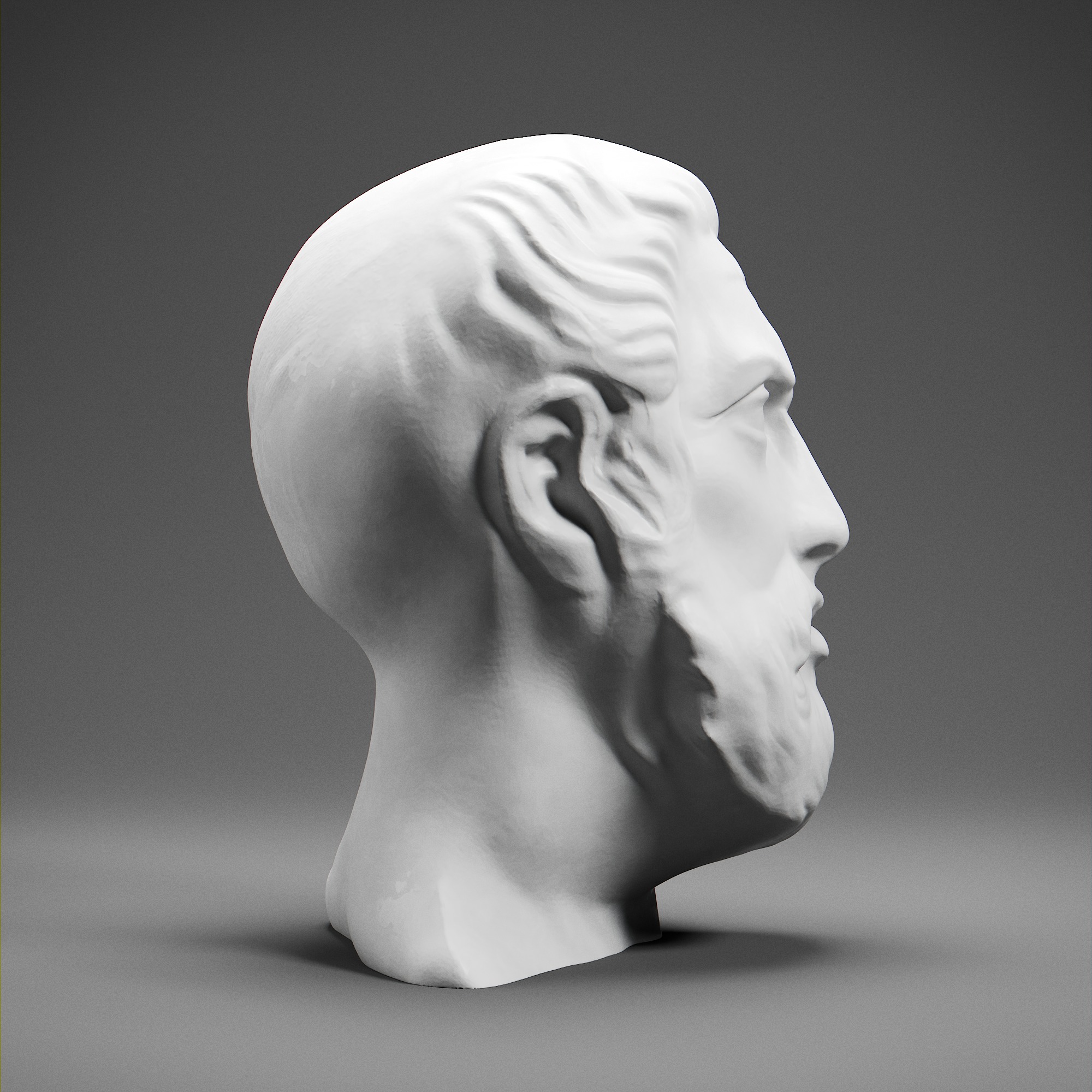 Hippocrates 3D print model_6
