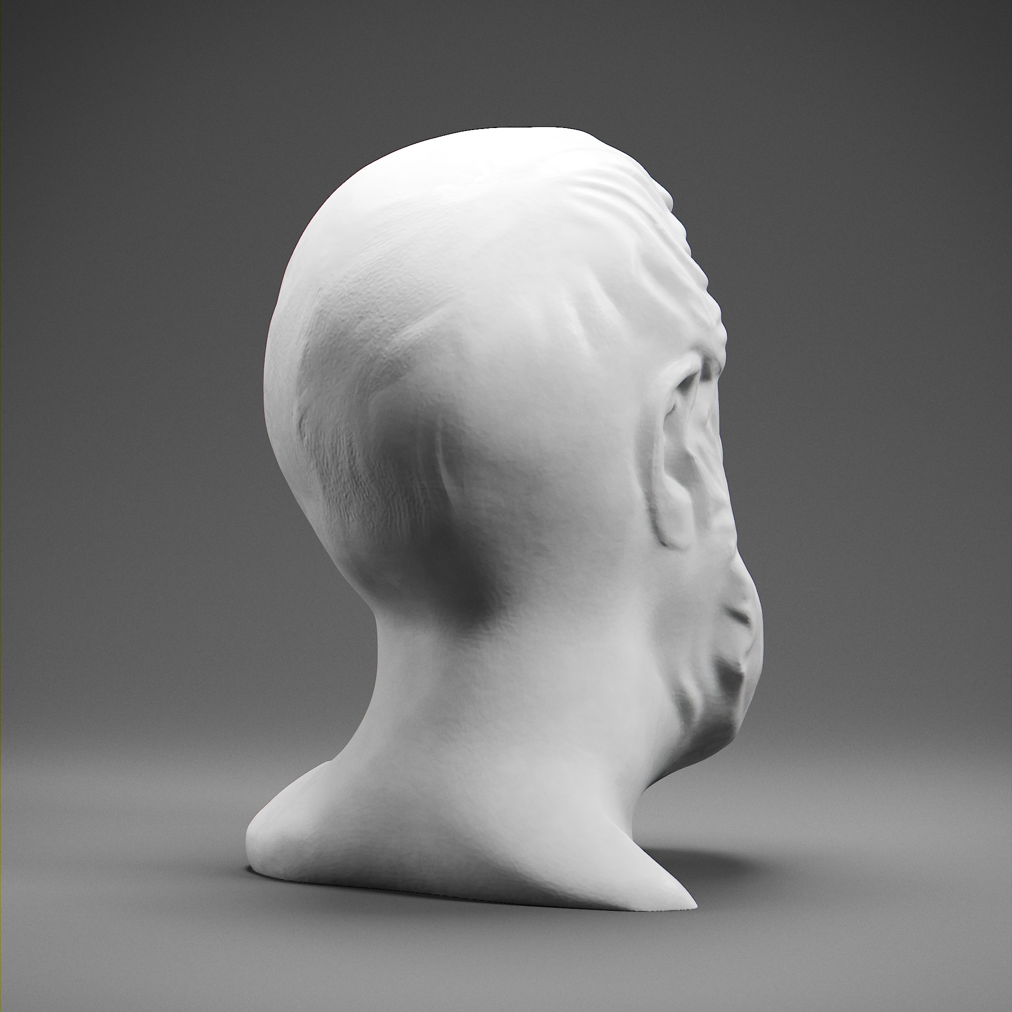 Hippocrates 3D print model_5