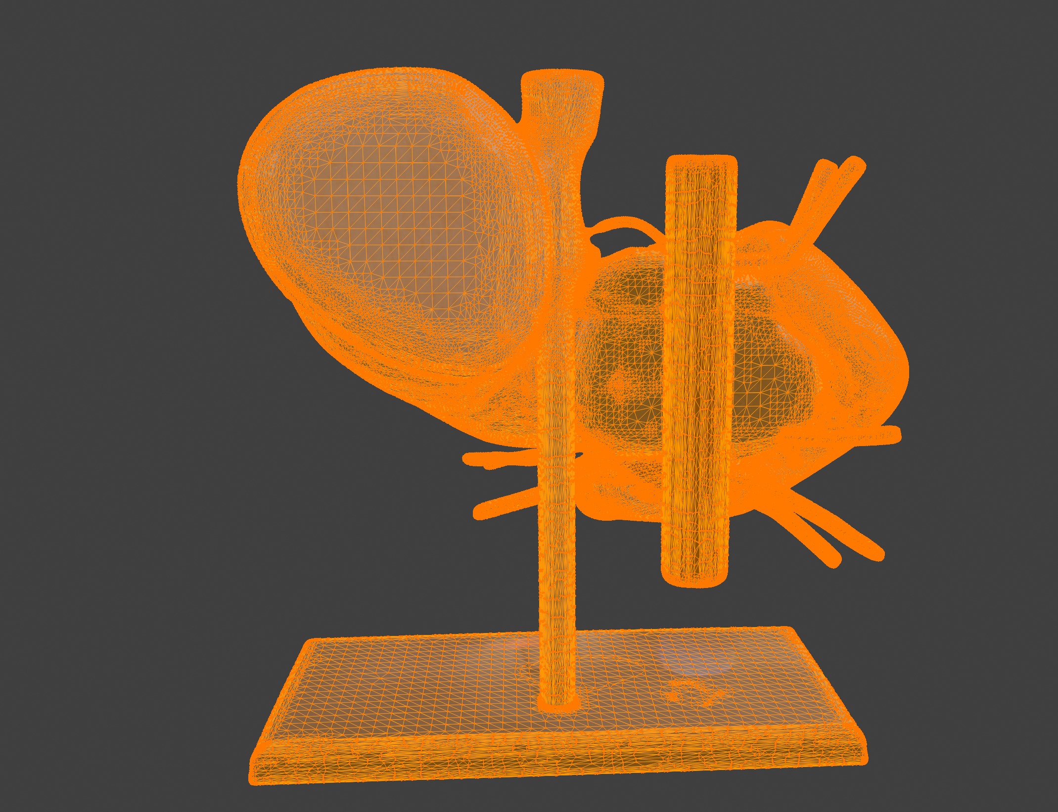 3D Model of Stomach 3D print model_13