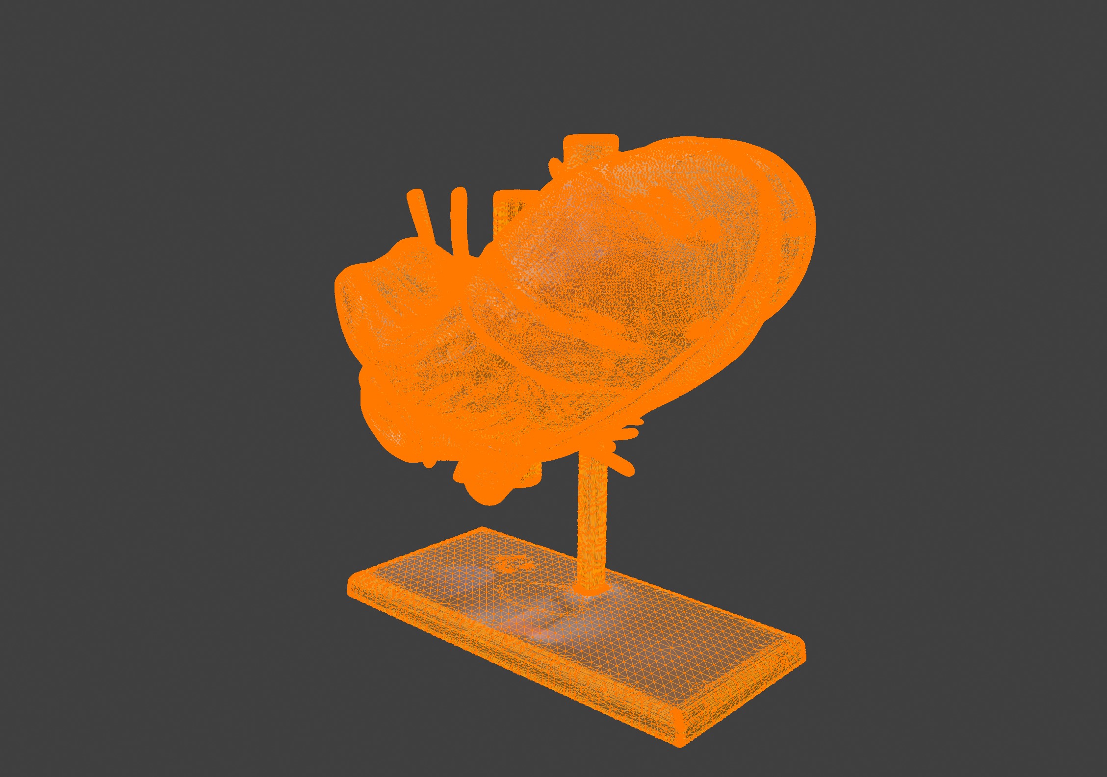 3D Model of Stomach 3D print model_11