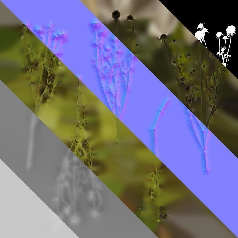 Anydrafts Pristimera cambodiana Atlas 04 Texture_8