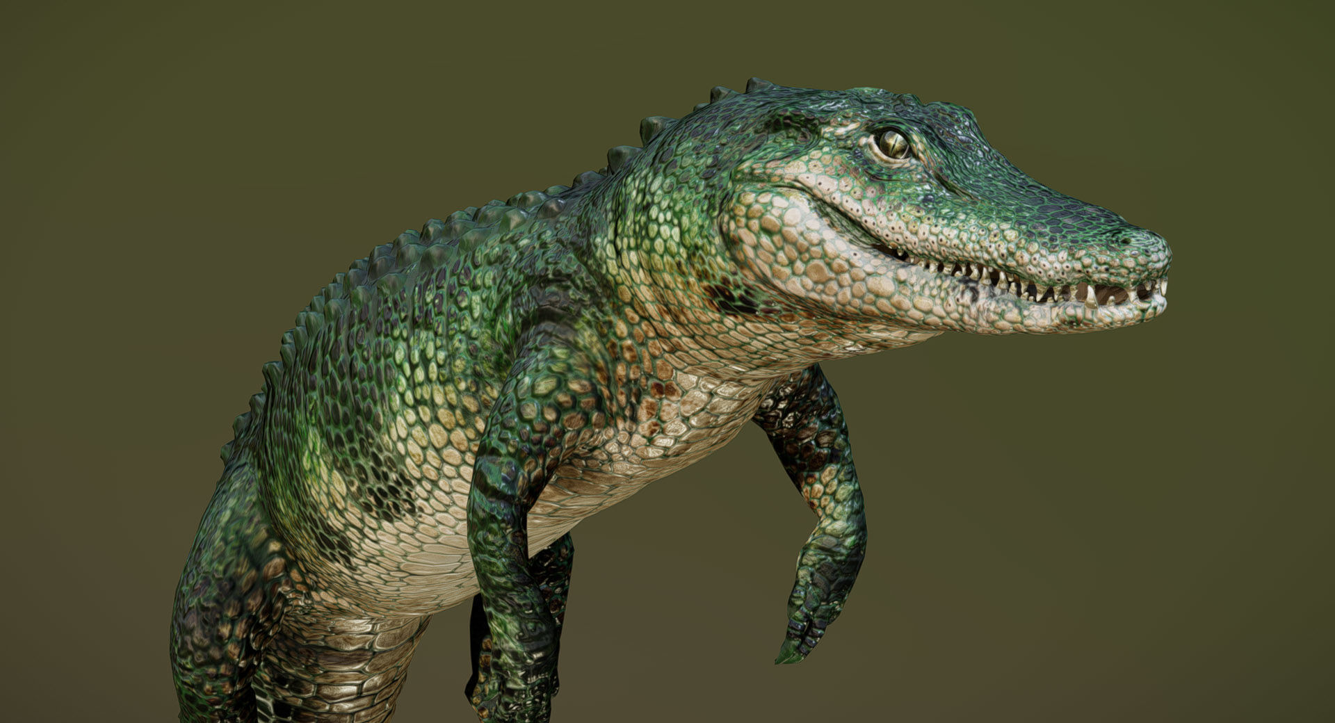  American Alligator 3D model_2