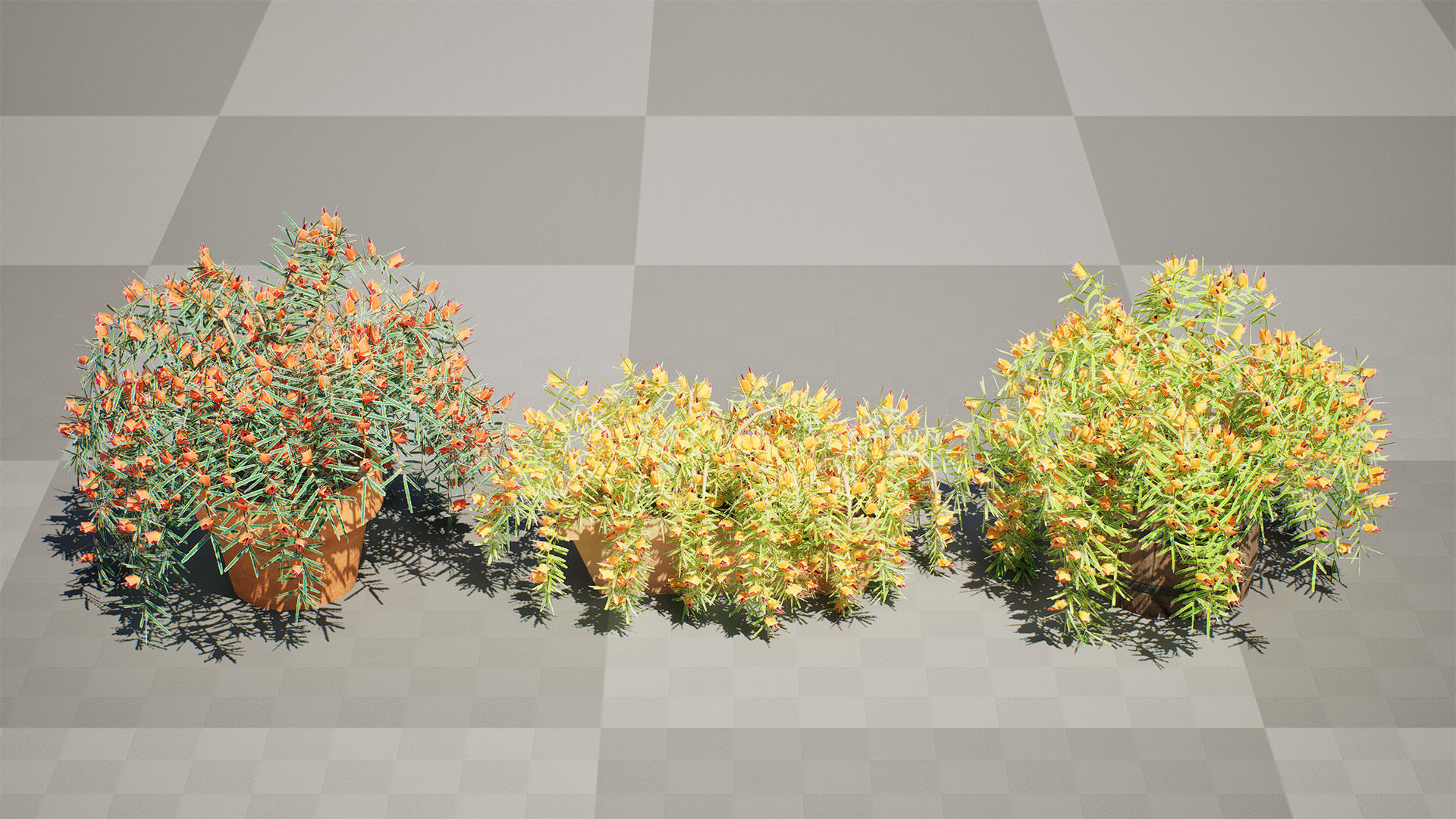 Lotus Vine 3D Model Low-poly 3D model_2