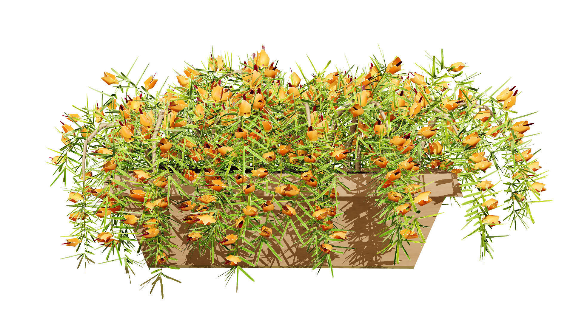 Lotus Vine 3D Model Low-poly 3D model_7