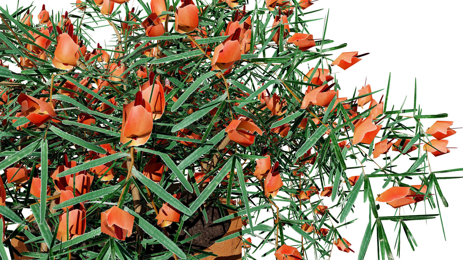 Lotus Vine 3D Model Low-poly 3D model_5