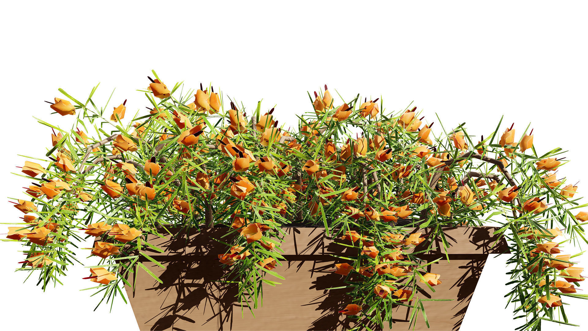 Lotus Vine 3D Model Low-poly 3D model_8