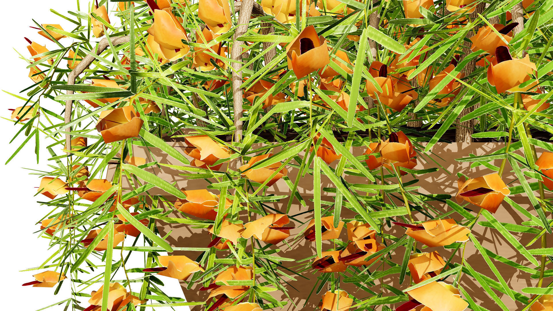 Lotus Vine 3D Model Low-poly 3D model_9